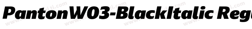 PantonW03-BlackItalic Regular字体转换